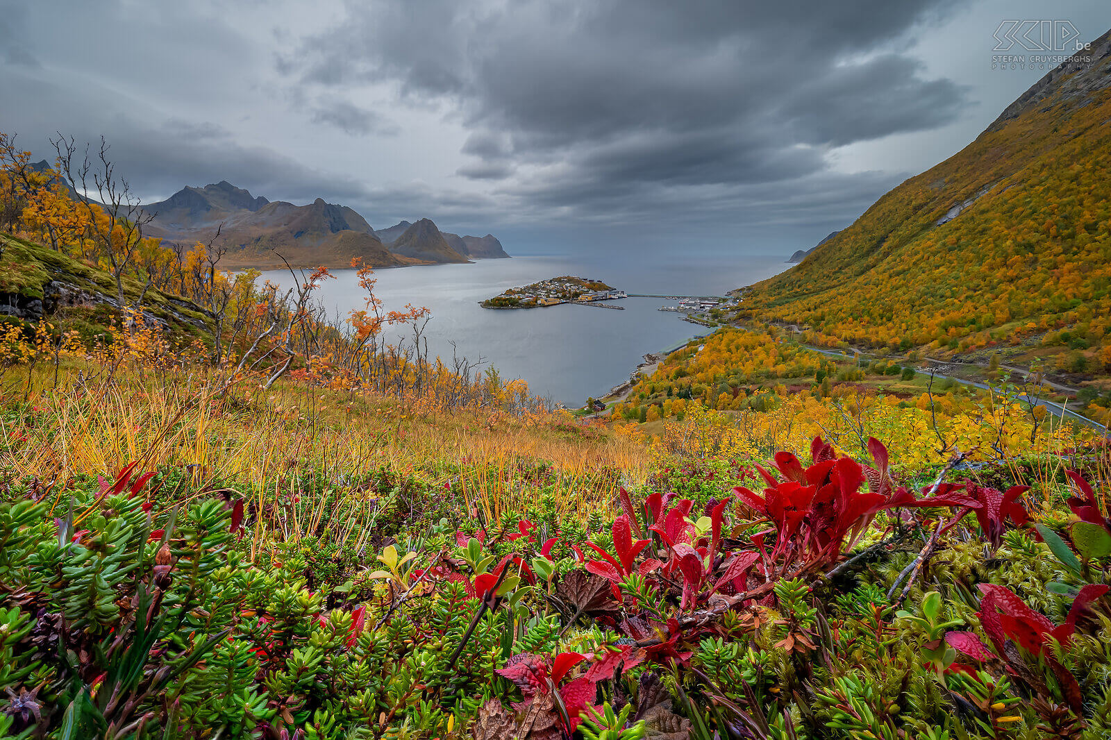 Senja - Husoy Autumn at its most beautiful on the Oyfjorden with the small inhabited island of Husoy Stefan Cruysberghs
